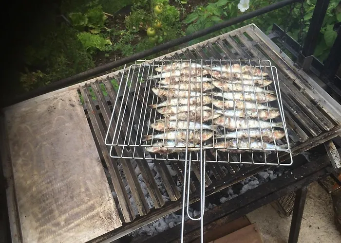 Pavillon De Diane Prades